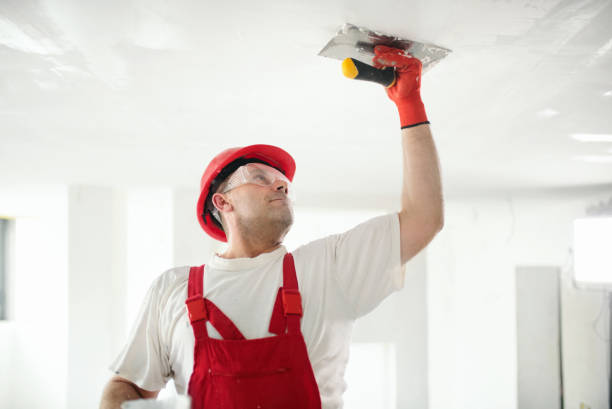 Best Eco-Friendly and Low-VOC Painting  in Royersford, PA